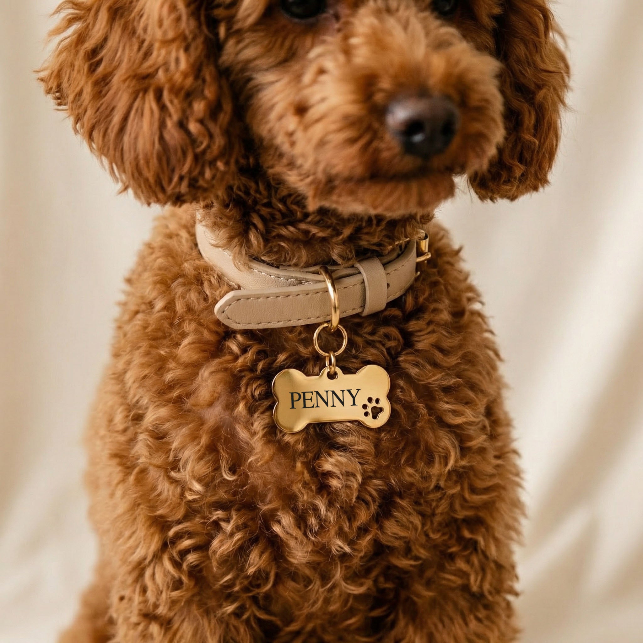 Personalisierte Hundemarke Gravur | Name