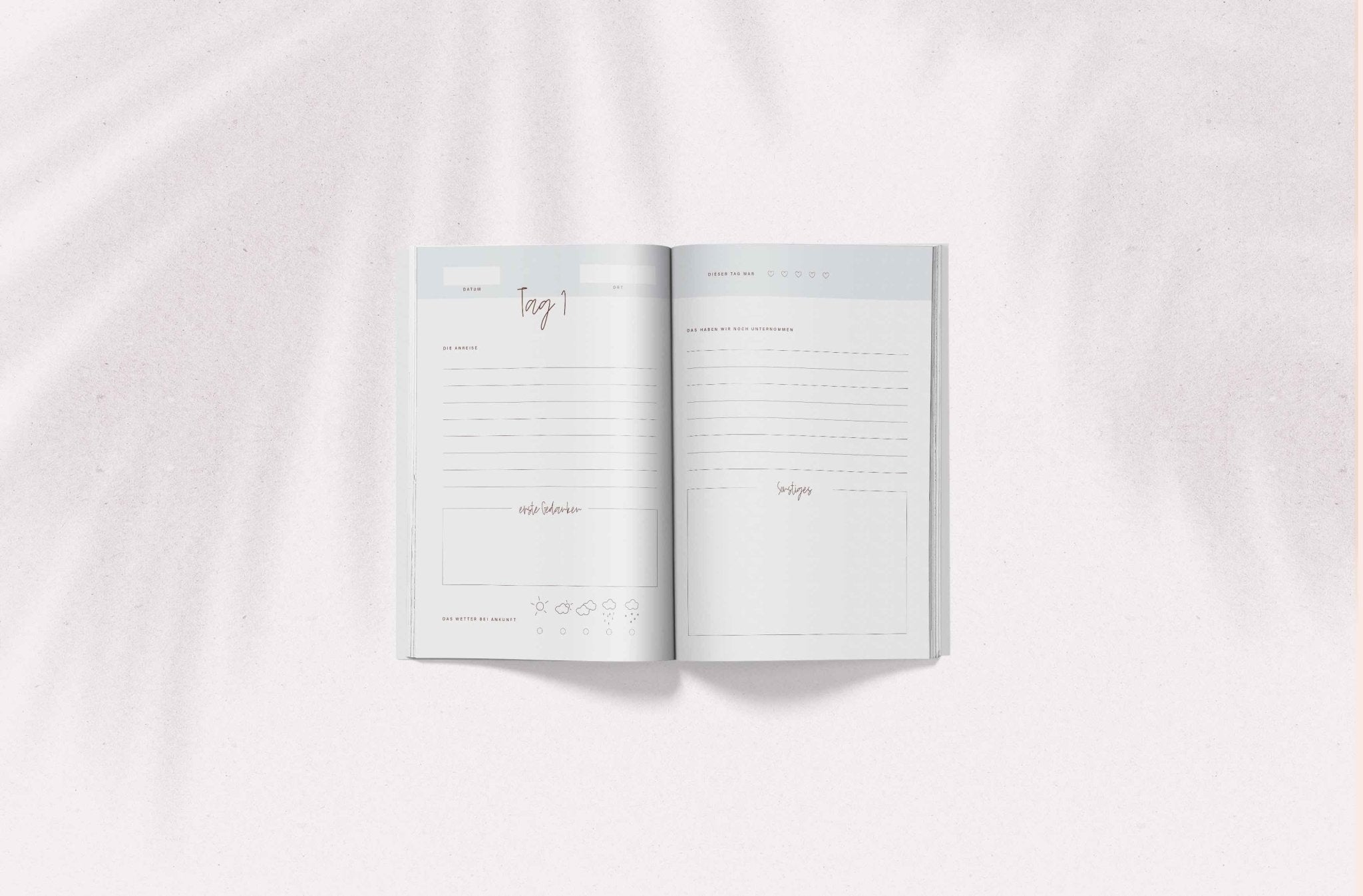 Reisetagebuch | Palms